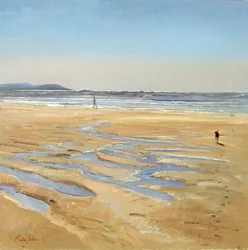 Beach Strollers